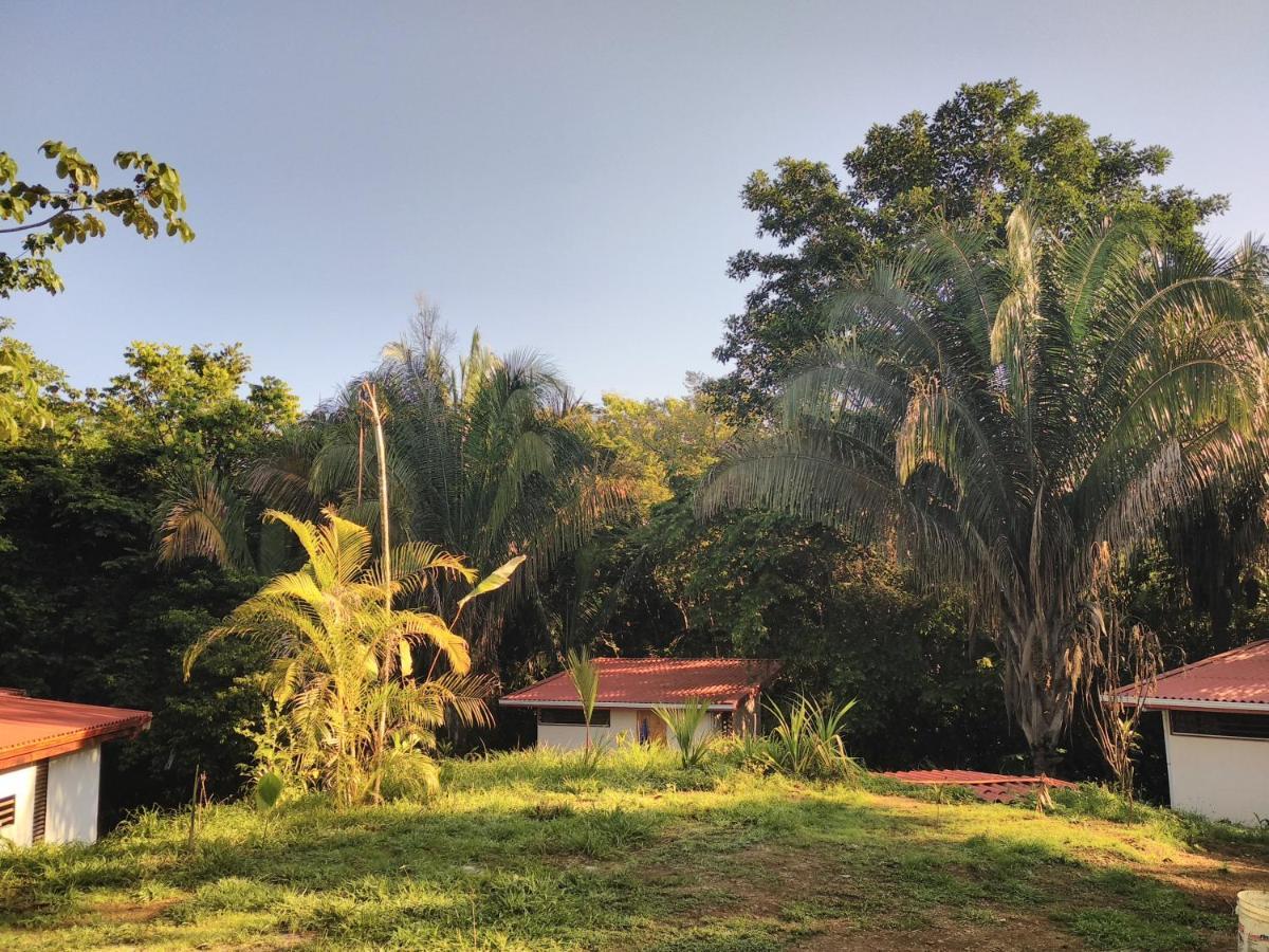 Selva Linda Lodge Vacation Rentals Quepos Zewnętrze zdjęcie