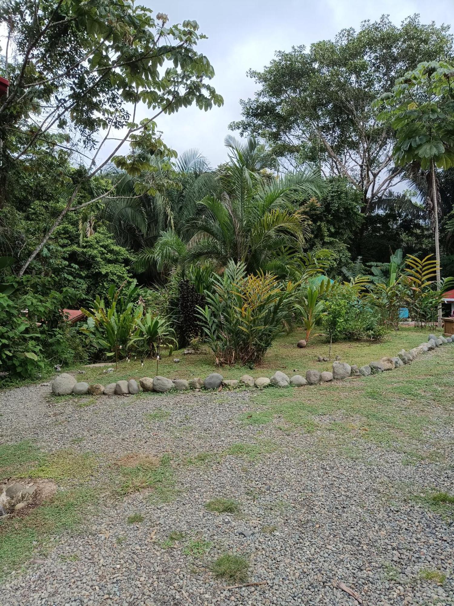 Selva Linda Lodge Vacation Rentals Quepos Zewnętrze zdjęcie