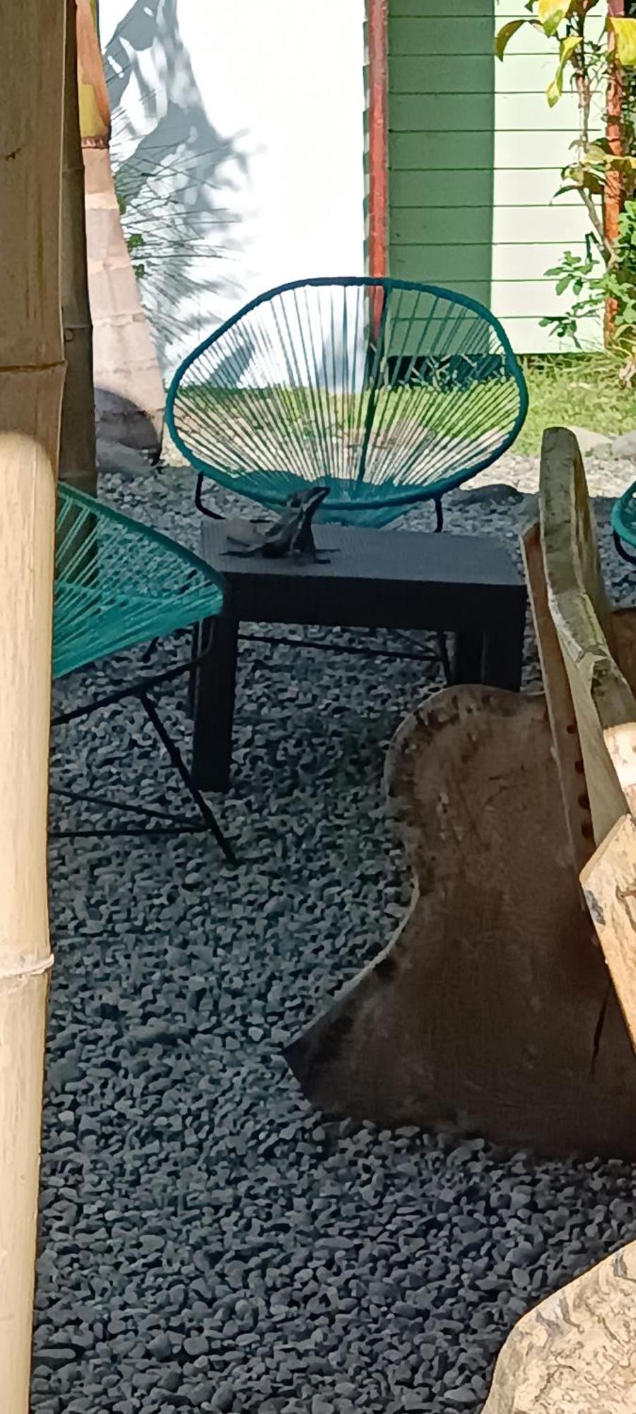 Selva Linda Lodge Vacation Rentals Quepos Zewnętrze zdjęcie