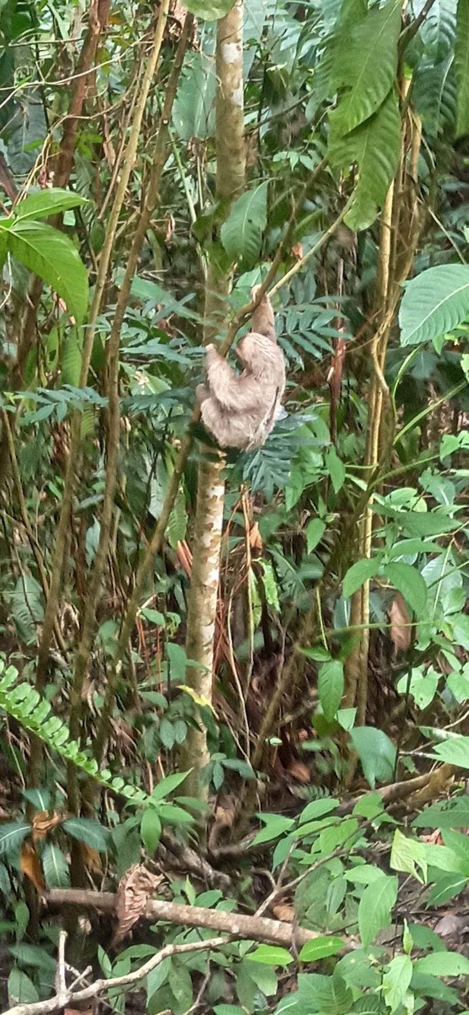 Selva Linda Lodge Vacation Rentals Quepos Zewnętrze zdjęcie