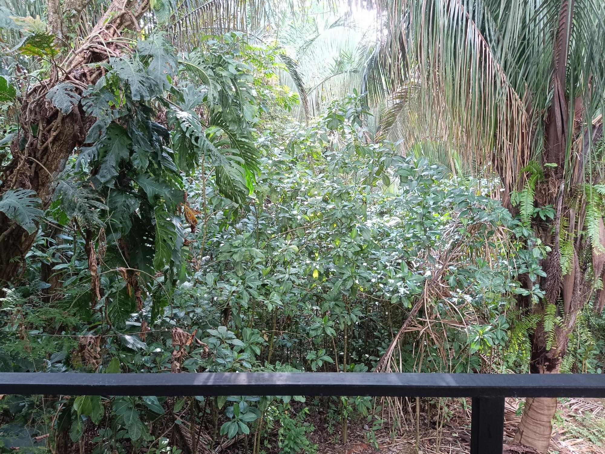Selva Linda Lodge Vacation Rentals Quepos Zewnętrze zdjęcie