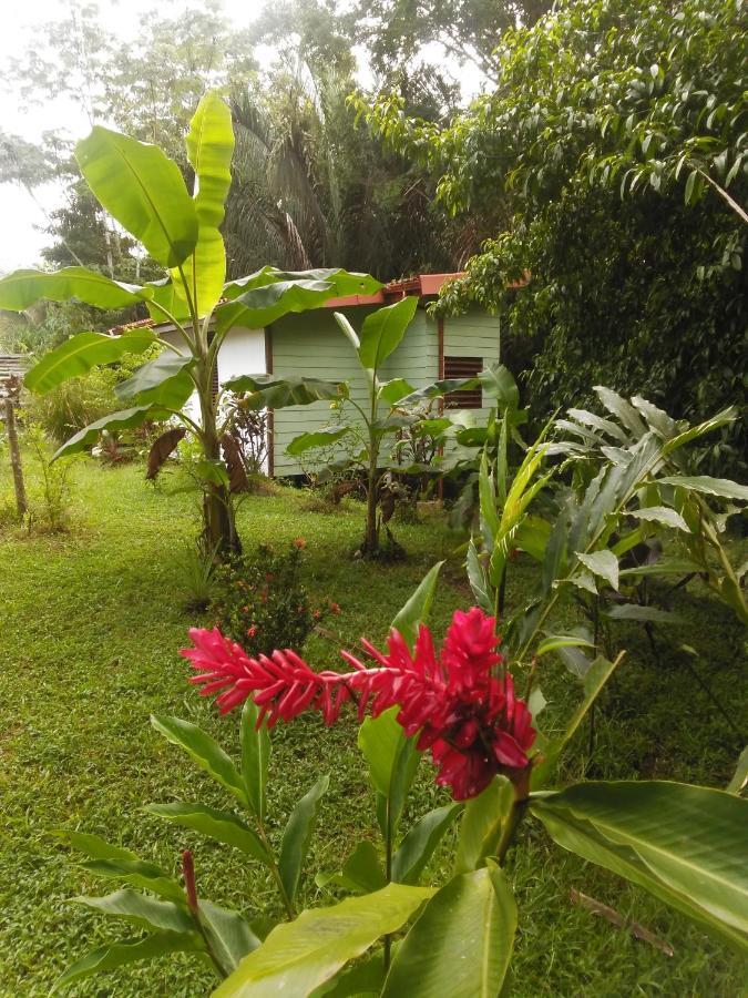 Selva Linda Lodge Vacation Rentals Quepos Zewnętrze zdjęcie