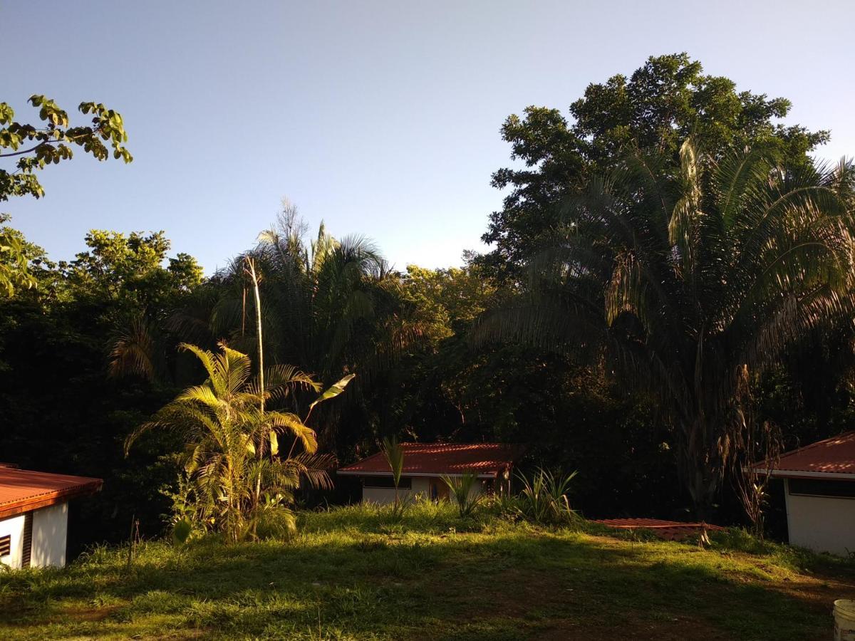 Selva Linda Lodge Vacation Rentals Quepos Zewnętrze zdjęcie