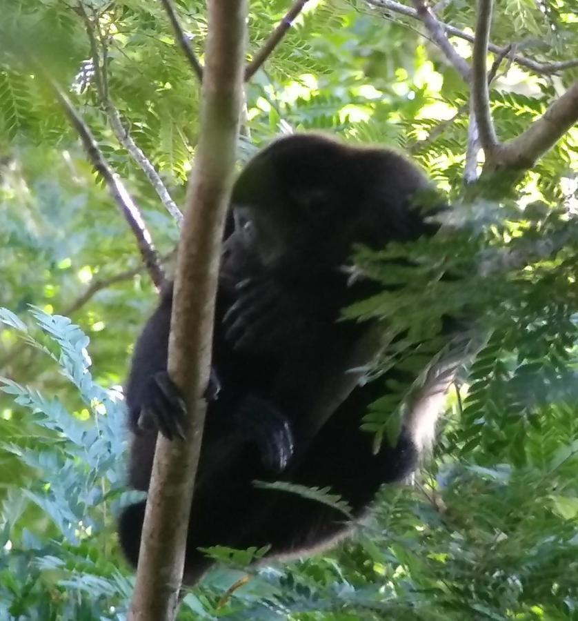 Selva Linda Lodge Vacation Rentals Quepos Zewnętrze zdjęcie